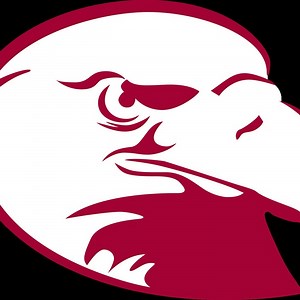 Lock Haven Bald Eagles • Home