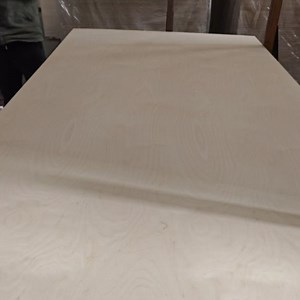 [Hot Item] 120 Watts Diode Laser Cutting 20 mm Australia Standard Plywood PVC Plywood for Construction