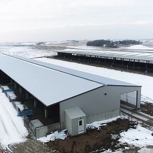 Gable end slatted deep pit/bedding combination cattle barn constructed by Hog Slat. | Hog Slat, Inc.