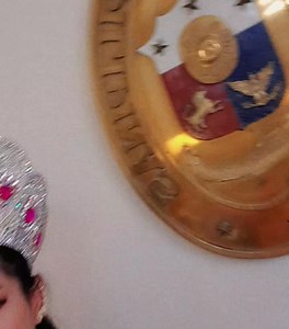 27 reactions | Our courtesy call in Philippine Embassy London | Lani Diaz | Facebook