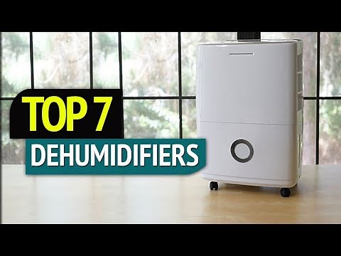 TOP 7: Best Dehumidifiers