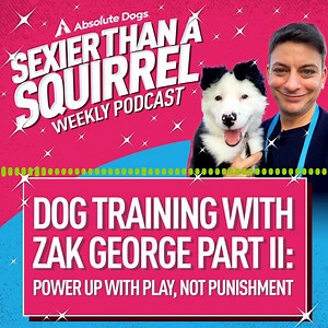 1.3K views · 14 reactions | In this fabulous episode of the Sexier...