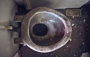 Are Bidets Really Sanitary? Bacteria Test Confirms