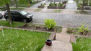 4.1K views | Pioneer Press on Reels | Facebook