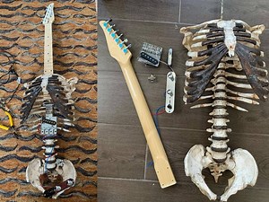 Premium bonewoods: the Skelecaster is a guitar made from real human remains