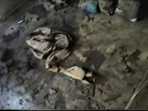 Forensic Files Yes, In Deed | True Crime Files