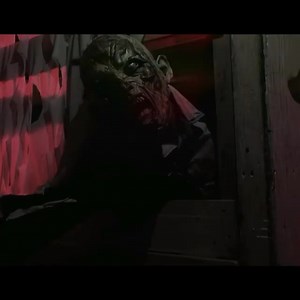 2.4K views · 49 reactions | Zoológico de León on Reels | Facebook