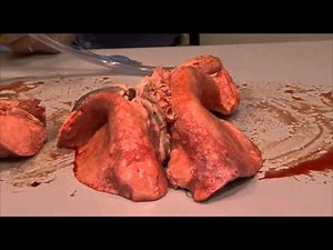 Lung inflation in HD video