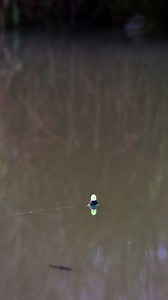 Never quit on the next cast. #floatfisihing | The Amateur Fishing