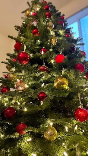 2.4K views · 45 reactions | Our first Christmas together and our first Christmas tree  • #christmas #christmastreedecorating #christmastree #couplegoals #veganfamily | Stéphanie Gérard | Facebook