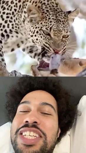 225K views · 78 reactions | @endlesssafari amazing shot | Che Durena | Facebook