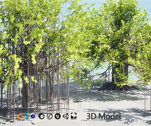 ArtStation - Ficus Carica 3D Model | Game Assets