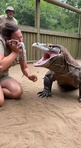 585K views · 2K reactions | Feeding Komodo Dragon GONE WRONG  #wildlife #caughtoncamera #viralvideo #wildanimals #shockingmoment #fblifestyle | Lifeline Souls | Facebook