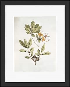 Califortree Black 11x14 Picture Frame - Can Display Photo 8x10 with Mat, Engineered Wood Frame with Shatterproof Plexiglass, Horizontal and Vertical Display for Wall