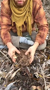 68K views · 1K reactions | The Owl how I make fire by rubbing sticks together #bushcraft #survival #survivaltips #fire #teacher #primitive #selfsufficiency #wildernessskills #alone | Garden Idea | Facebook