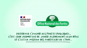 1.2K views · 67 reactions |  Quels sont les 3 atouts de la forêt et...