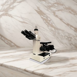 [Hot Item] Mss Stereo Microscope for Viewing Metals
