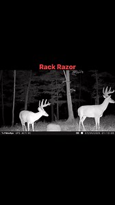 Dealers on our page! #whitetail #deerhunting #deerseason #antlers | Rack Razor Deer Supplements