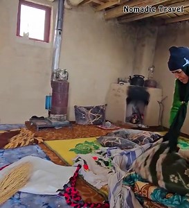 23K views · 308 reactions | Taban in search of tree apples  | Nomadic Travel | Facebook