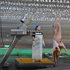 [Hot Item] Flexible Sheep Slaughter Line Customized Sheep Abattoir Halal Lamb Meat Slaughter Process