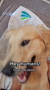 395 reactions · 26 shares | Get the health and wellness you deserve with easy payment options at in-network locations with the CareCredit credit card. | CareCredit | Facebook