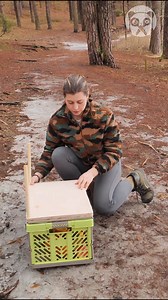 116K views · 109 reactions | Keeping food safe while camping | Crafty Panda | Facebook