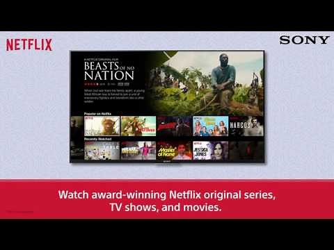 SONY Android TV : Netflix