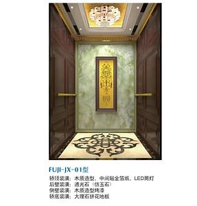 [Hot Item] Asia FUJI Sightseeing Home Villa Passenger Elevator with Machine Room