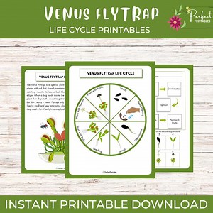 Life Cycle of a Venus Flytrap Worksheet- Plant Science Unit Study With Fun Facts, Carnivorous Plant Study - Etsy Canada