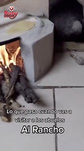 10K views · 684 reactions | Venganse a comer | Ruby Escobar | Facebook