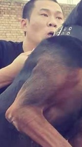 2.9K views · 114 reactions | The Chinese Red dog Handler defence training Male and Female | DDR GUARD DOGS | Facebook