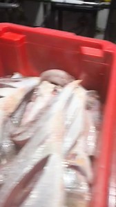 22K views · 401 reactions | Bom dia. Tabela de preços para quinta....