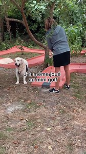 Une semaine à Belle Ile avec Amélie et Starck ❤ Si pour vous aussi, c’est « jamais les vacances sans mon chien » 🦮🐕‍🐩🐾 🎥 instagram.com/amelieetstarck #belleileenmer #otbelleile #unjourabelleile #morbihan #miamorbihan #VisitBretagne #bretagne #fansdebretagne #destinationbretagne #jaimelafrance #tourismedurable #chienstagram | Belle Ile en Mer
