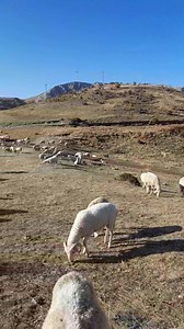 Adil KARAKOÇ 🌹🌹🌹 AFYON SANDIKLI KARKIN KÖYÜ 'NDEN Selamın Aleyküm Hayırlı Akşamlar | Karkın köyü