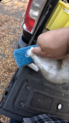 Limpeza de piscina 🫧 #piscina #pools #piscinas #pools #piscineiro #limpeza #piscinaverde #poolguy #cleaningpools #swimming #swimmingpools #clean #poolguylife #limpezadepiscina #piscineiros #cursodepiscina #fyp #piscinaemcasa #swimmingpool Vídeo 📽️ : @my.pool.guy.jay | Rodolfo Silva