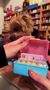 The Smallest Caboodle Ever – Mini Toy Unboxing