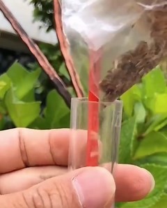 8Pcs Mini Seed Spreader - 2024 Upgraded Mini Sowing Seed Dispenser, Small Seed Planter Tool, Manual Seedlings Dibber and Widger Set, Handheld Garden Seed Sower Spreader Gift for Planting Lover (Set A)