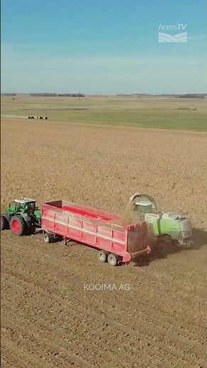 The Domai Direct Cut head features a floating frame with wheels on bearings, creating a solid frame.