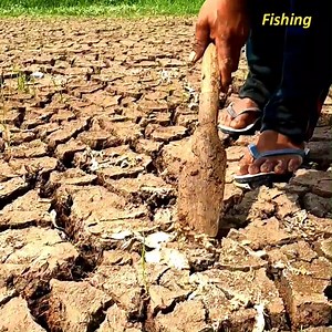 6M views · 10K reactions | amazing fisihing ! Catch fish through holes in the field to catch a lot of fish | Fishing | Facebook