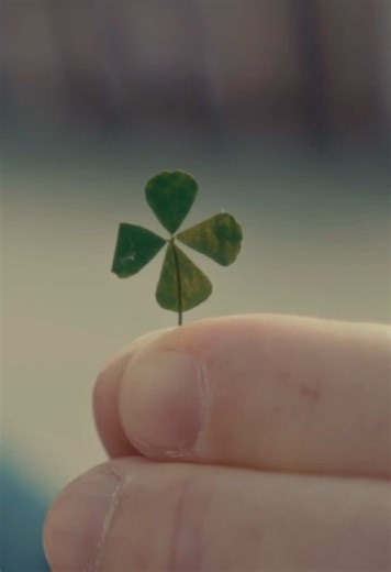 A Fiberglass Pool: The best four-leaf clover you’ll ever find 🍀 #riverpools #fiberglasspools #ingroundpool #stpaddysday . . . . . River Pools fiberglass pools are only installed by independent installers.