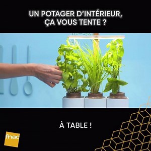 🍅 Plantez, laissez pousser et dégustez ! Faire plaisir à votre maman toute l'année, c'est possible avec ce potager Prêt à Pousser 😋 http://bit.ly/2I1W7X9 | Fnac