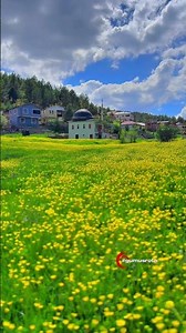 #gumushane #doğa #travel