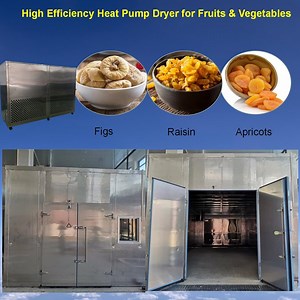 [Hot Item] Bran Snack Rose Drying Chamber Vermicelli Dehydrator Flowers Vegetable Drying Equipment Air Source Heat Pump Fruit Dryer