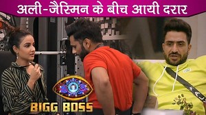 Bigg Boss 14: Aly Goni Is Not On Talking Terms With Jasmin Bhasin, Here's Why? #BiggBoss14 #ALyGoni #JasminBhasin | Telly Reporter