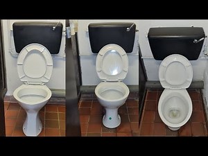 Low level Shires Lynx and Dudley Tri-Shell cisterns with mixed branded WC pans