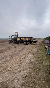 This farmer is harvesting the rapeseed crop that our bees pollinated. A perfect example of just how important our pollinators are and of a mutually beneficial relationship. We get the delicious honey, they get a beautiful crop. We love the countryside! 🐝 | Quince Honey Farm
