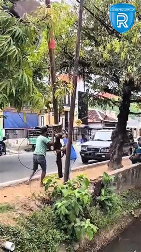 4K views · 50 reactions | PEMKAB BATANG CABUT PULUHAN TIANG JARINGAN...