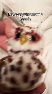 2.6K views · 161 reactions | Adopt them all! #beaniebabies #gimmebeanie #beanieboos | Ty | Facebook