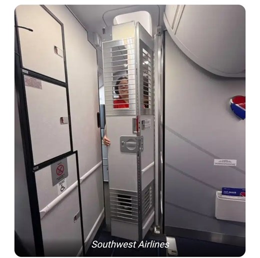 Airliner: Cockpit Barriers Introduced For Their 1st Flights After Years Of Delay - Travel - Nairaland