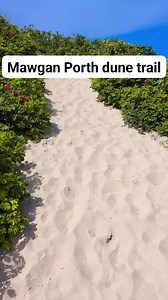 Dune trail. Top secret | Select Cornwall